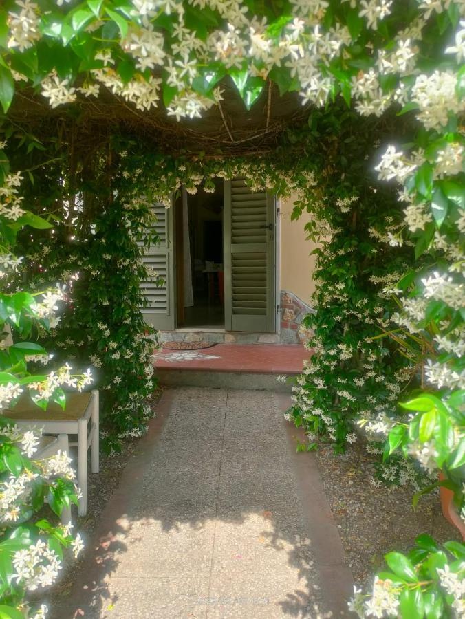 La Casa Di Fiorella Cerreto Guidi Bagian luar foto