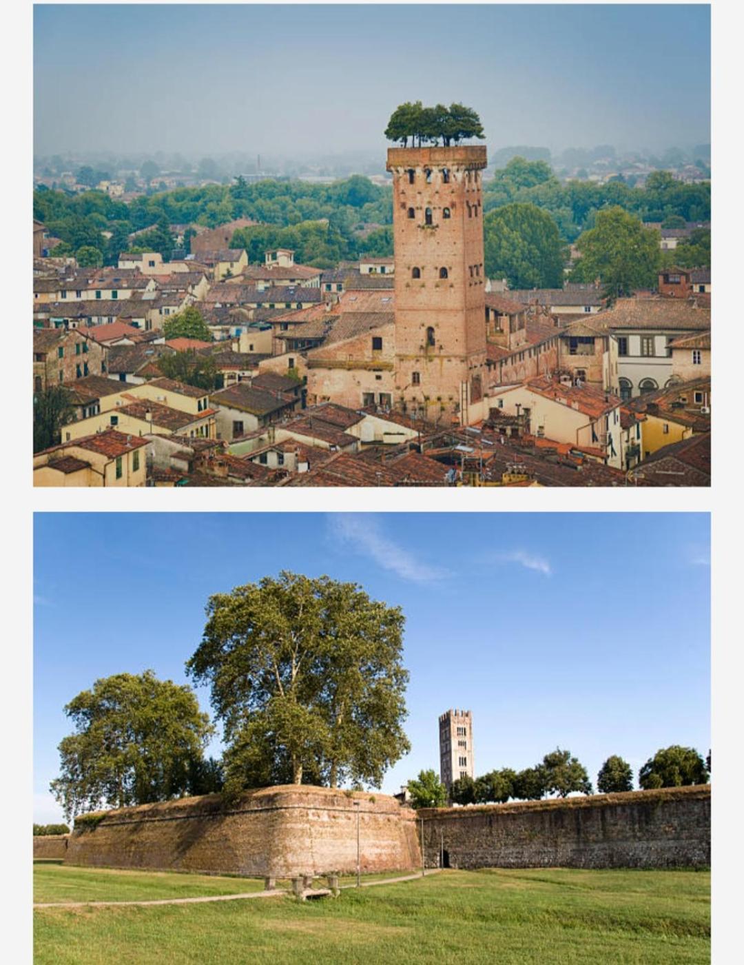 La Casa Di Fiorella Cerreto Guidi Bagian luar foto